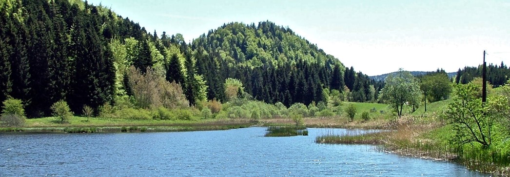 Etangs et marais typiques des plateaux jurassiens